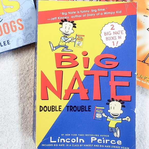 4  kids Books incl Big Nate and Stick Dog 8-12 yrs - Picture 6 of 6